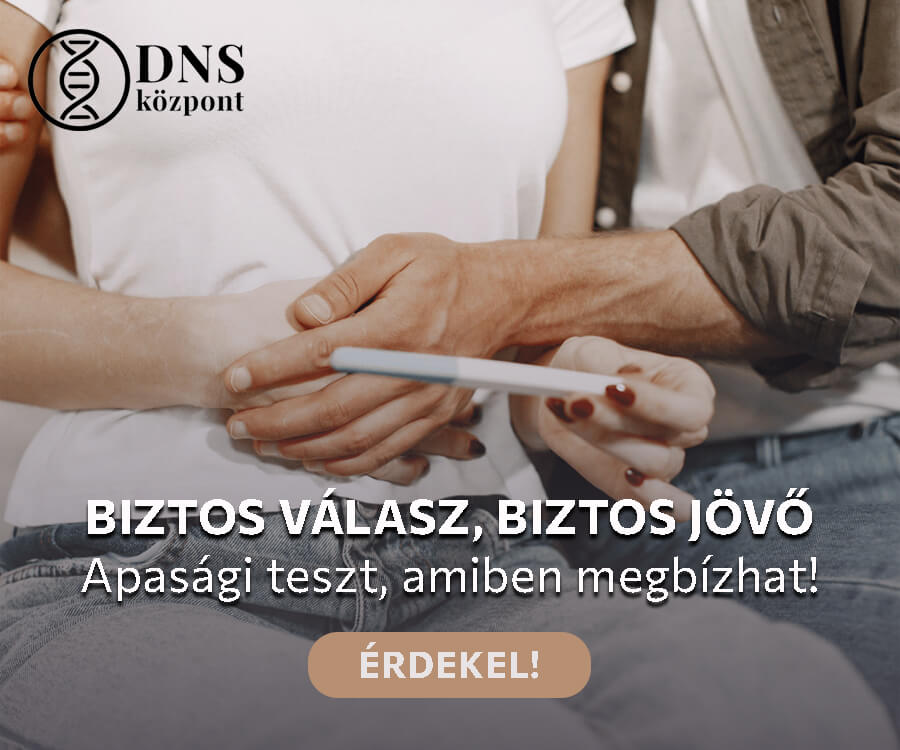 dns központ