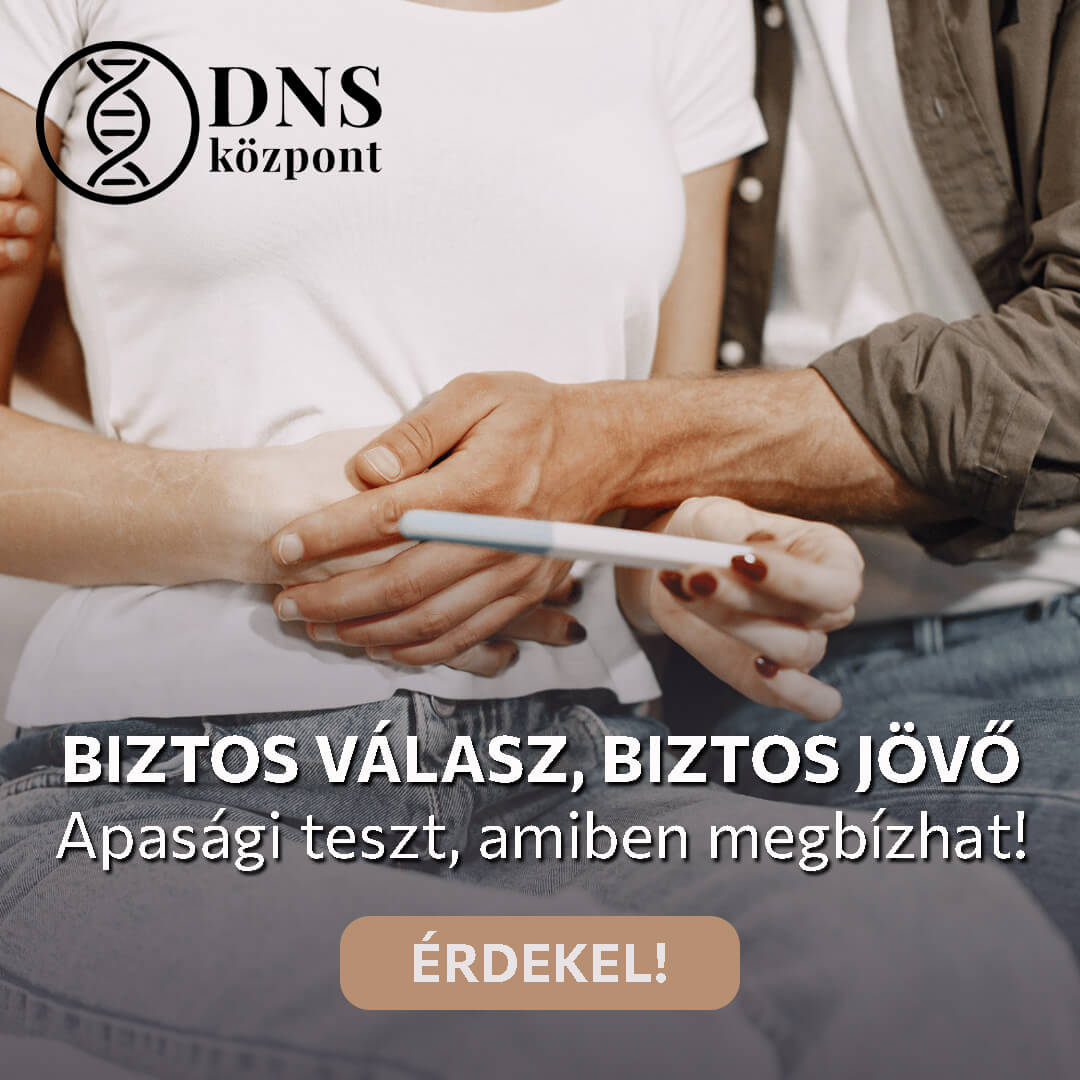 dns központ