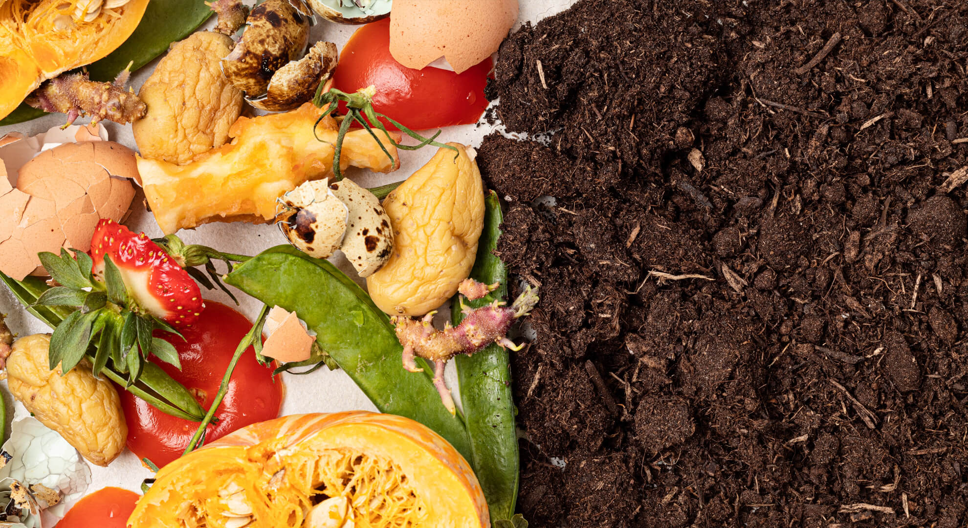 Komposztálj akár beltéren is!