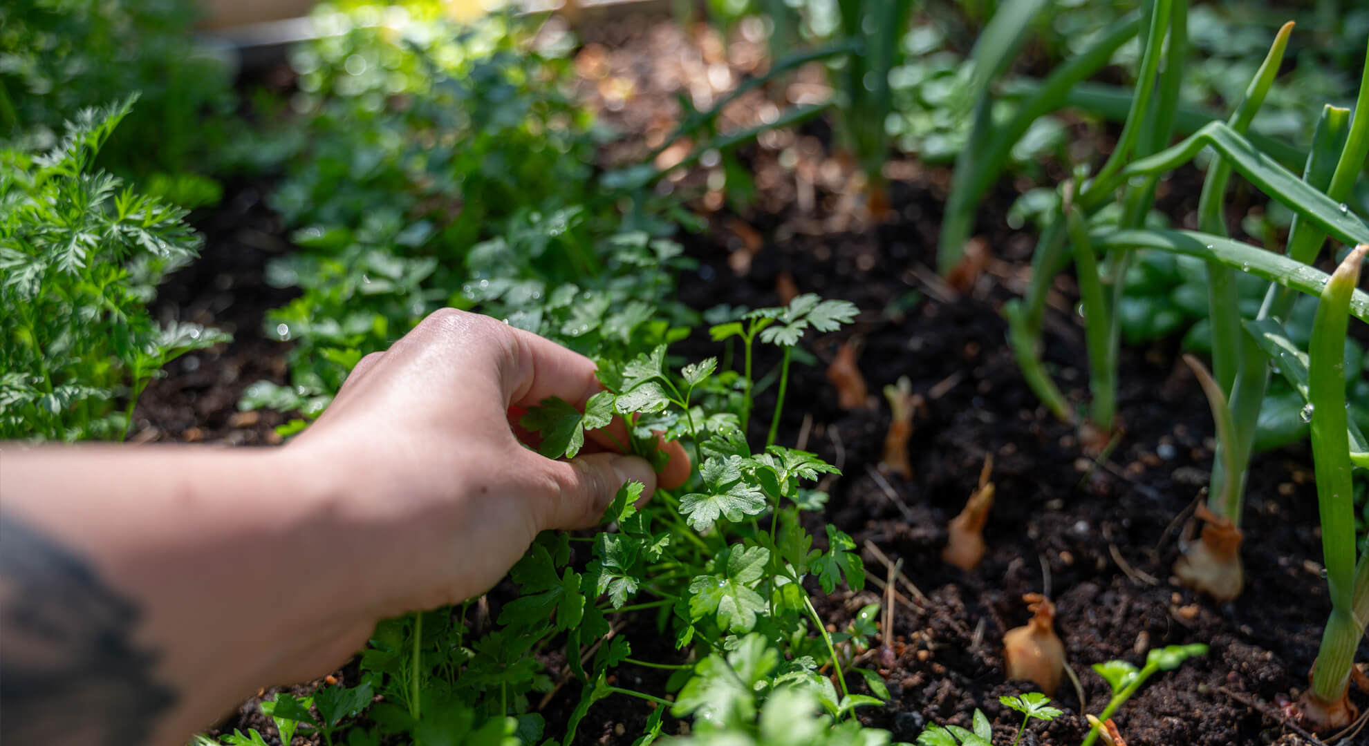 Hogyan készítsünk magaságyást? 