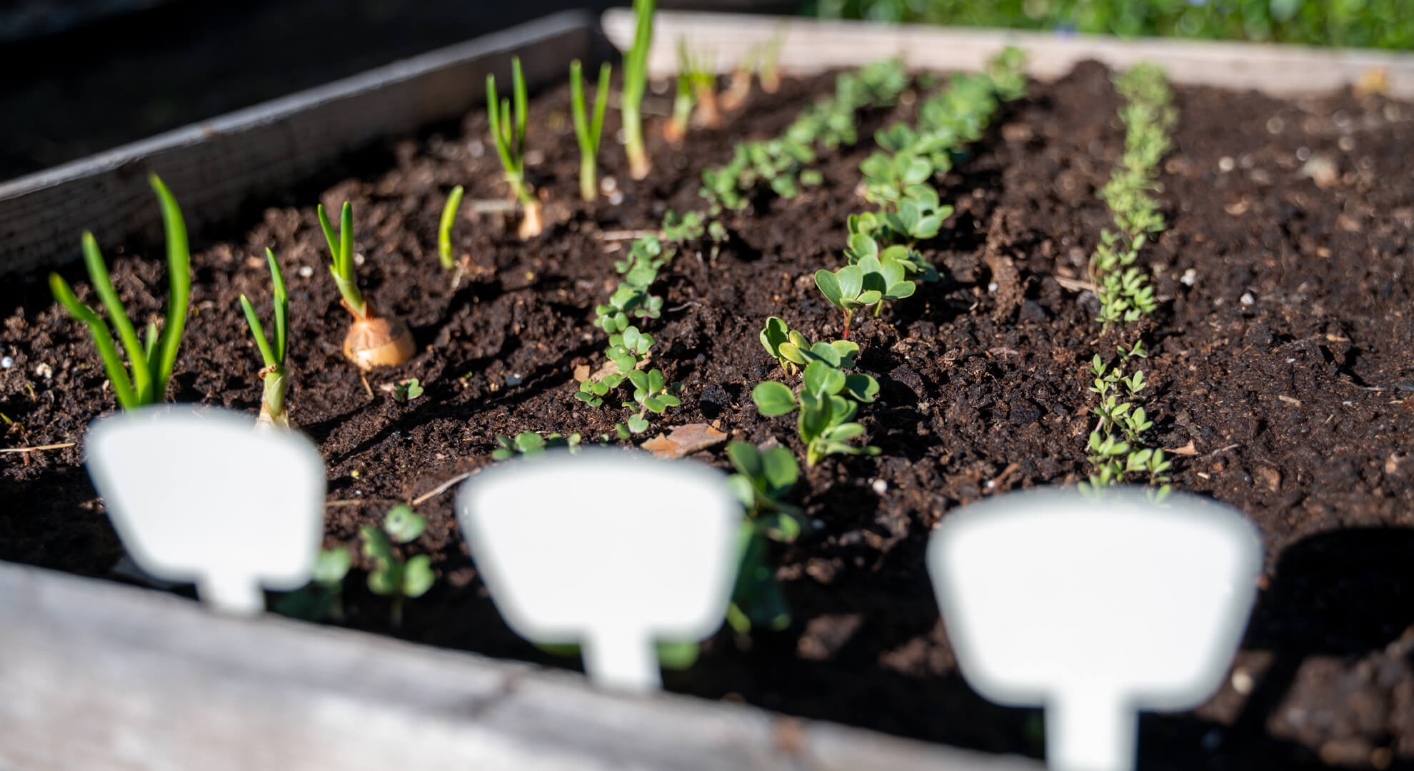 Hogyan készítsünk magaságyást? 