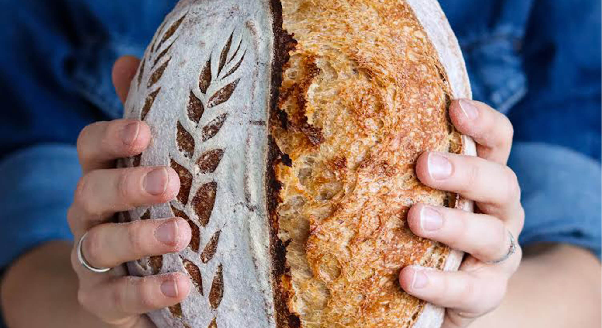 MEKKELEK PROJEKT kovász