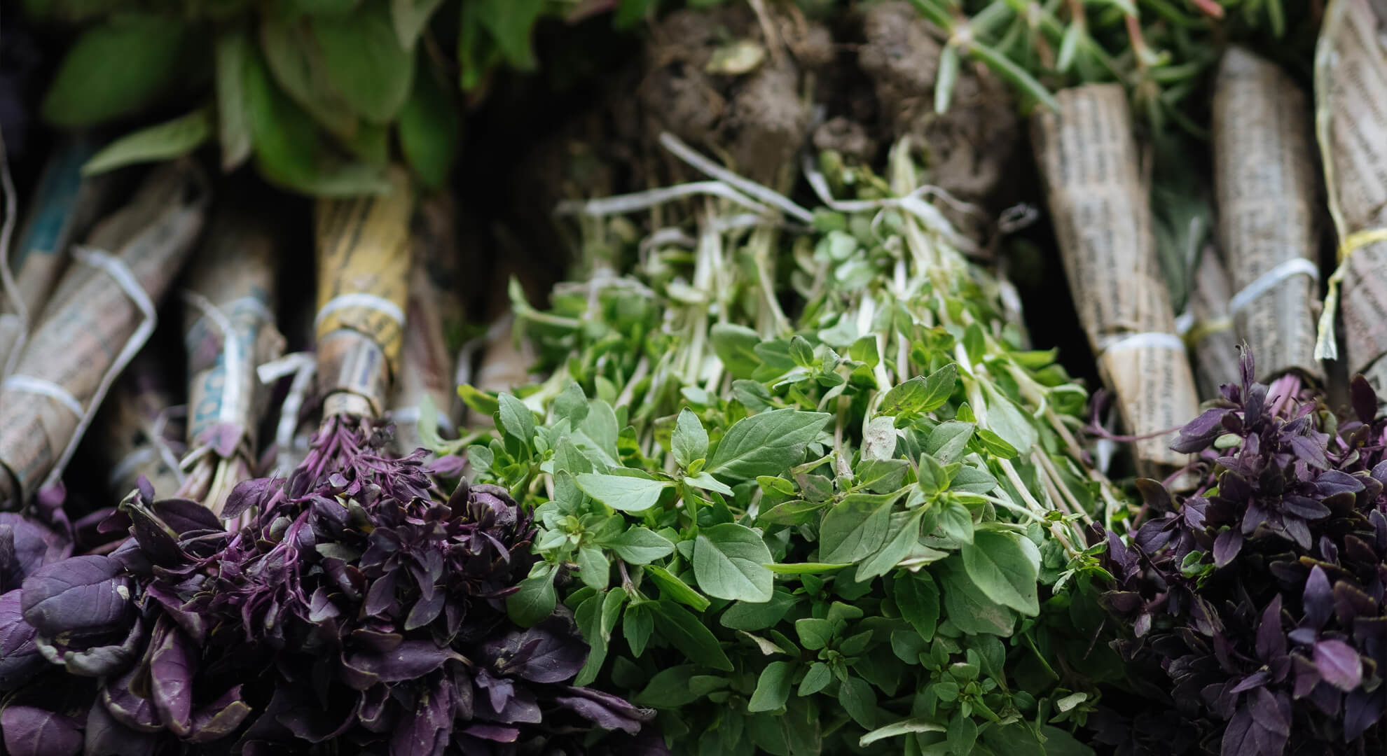Monofűszerek és fűszerkeverékek közti különbségek