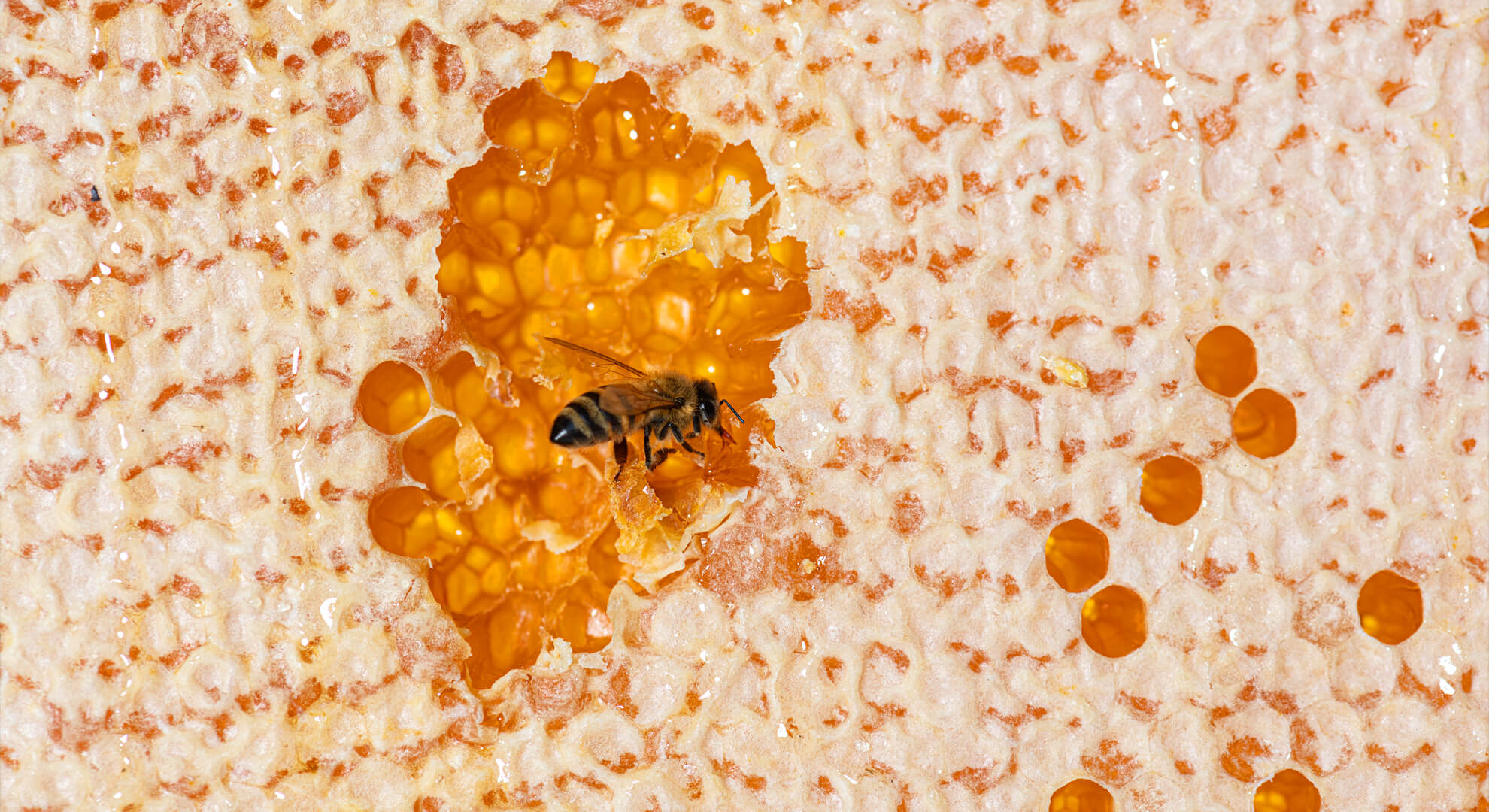 Magyar mézfogyasztási szokások