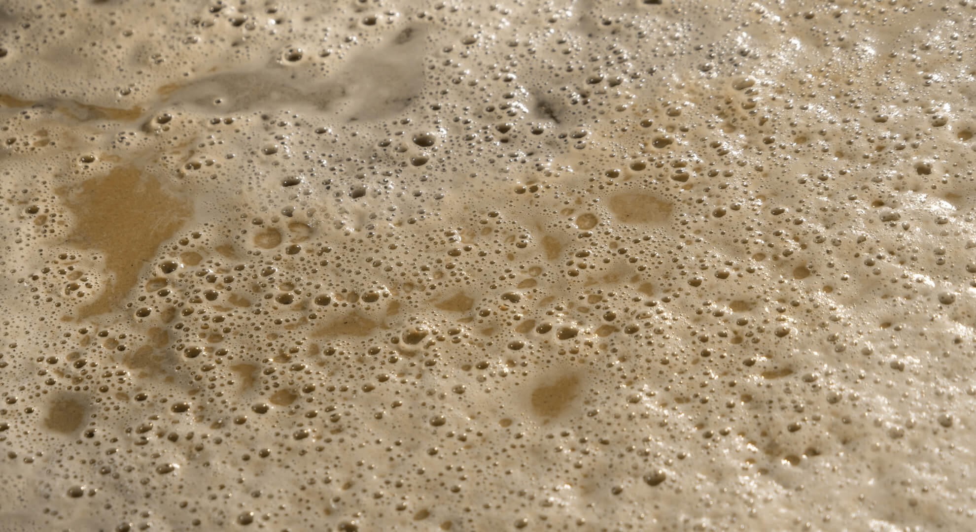 Akkor miért teszünk mégis cukrot az élesztőhöz?