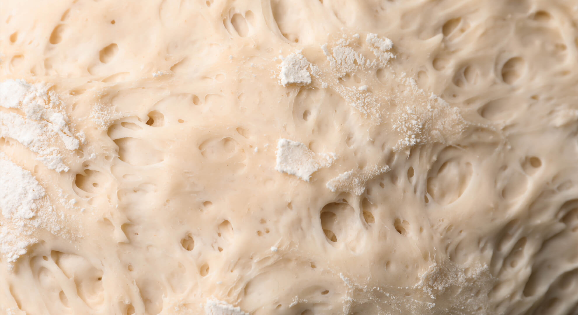 miért teszünk cukrot az élesztőhöz?