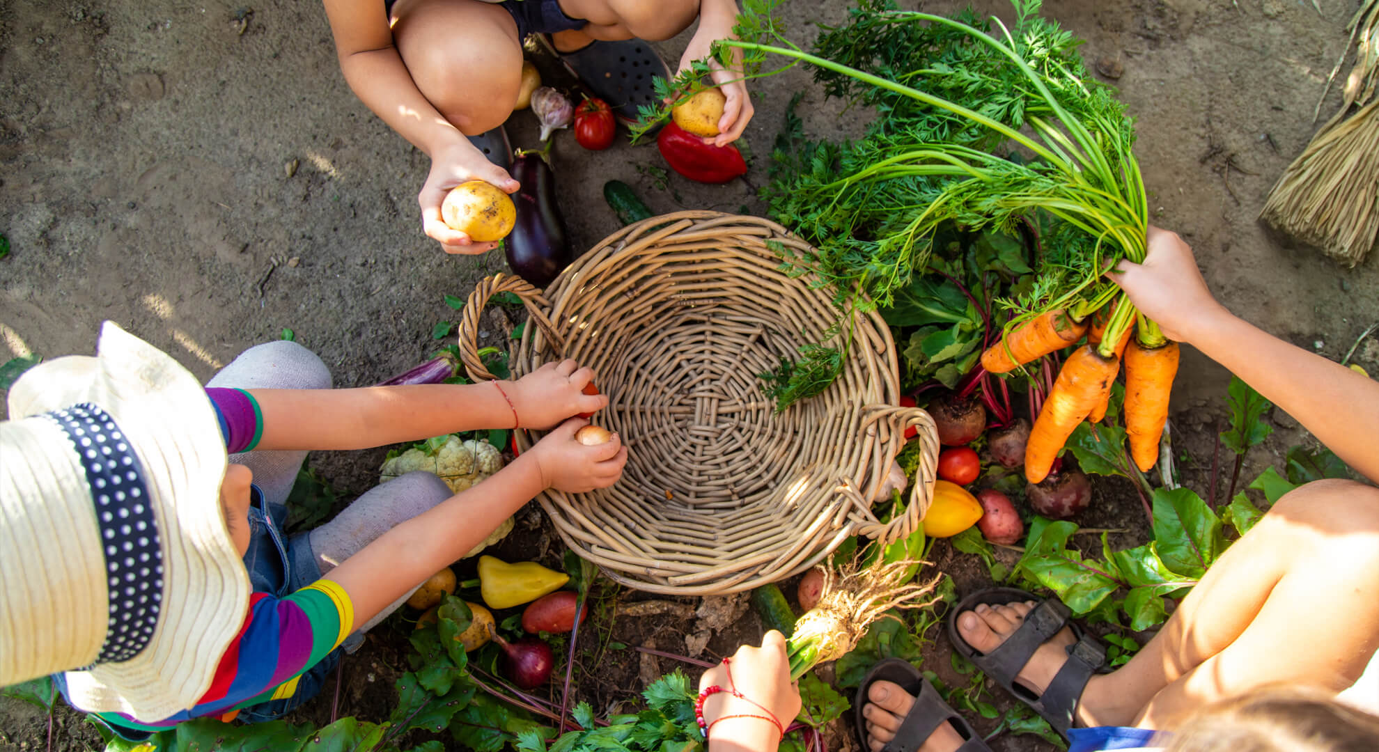 Mi is az a permakultúra?