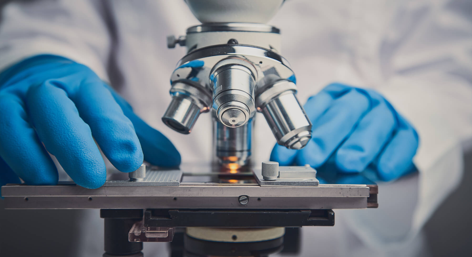 rostot fermentáló baktériumok