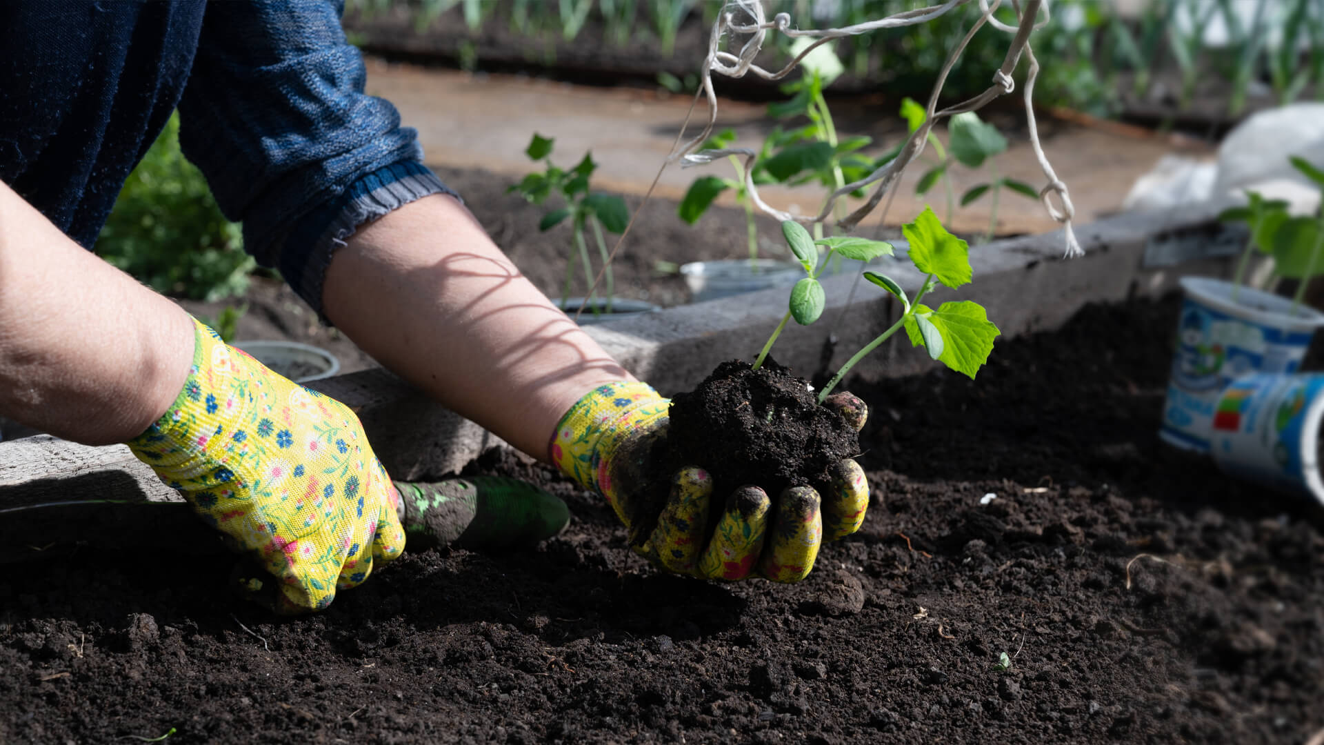 Áprilisi teendők a konyhakertben