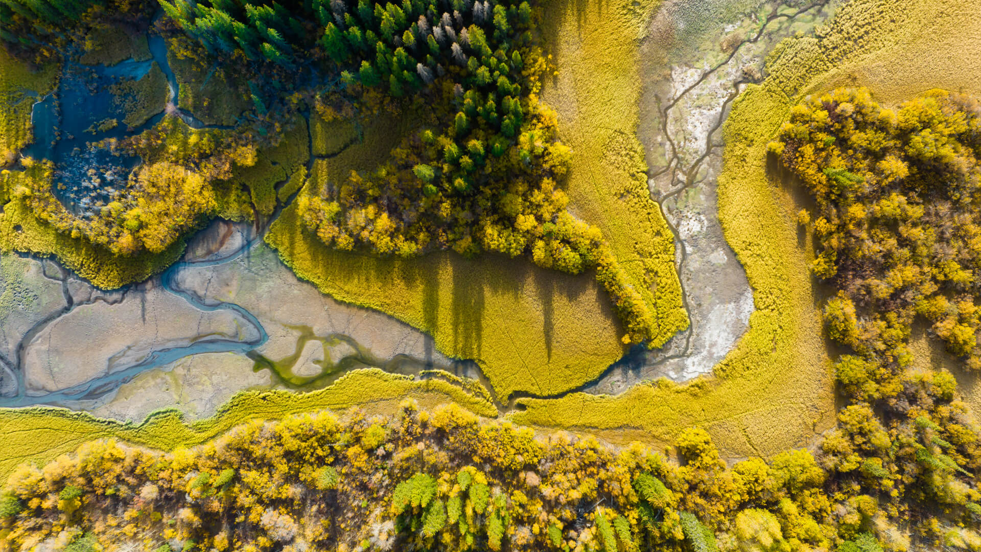 Mi az ökoszisztéma