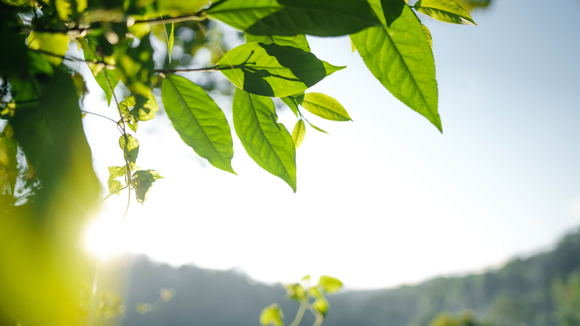 Az emberi faj, mint ökológiai tényező