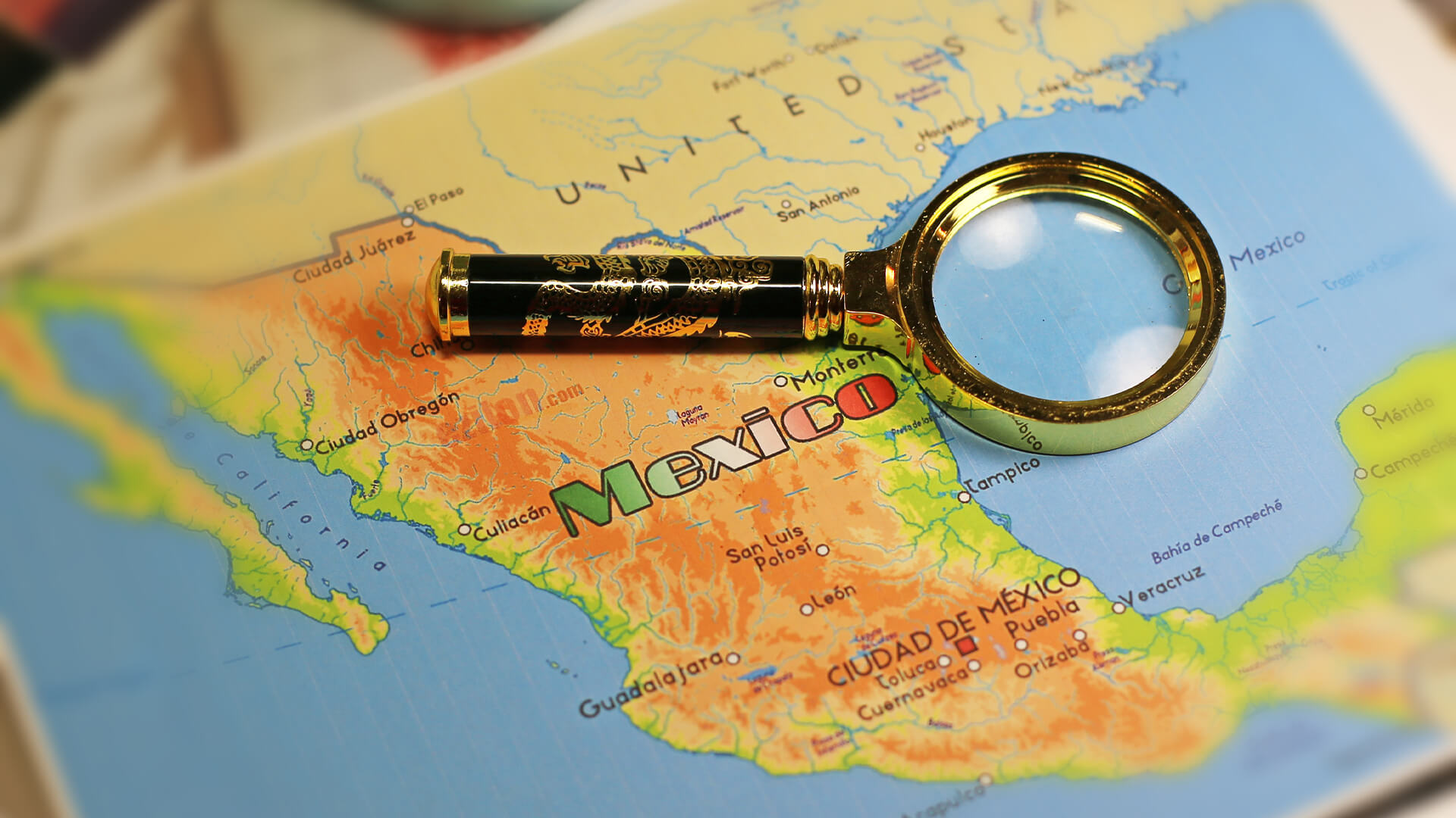 Egy fűféléből lett a világ gabonakirálya